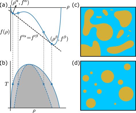 Construction of the spinodal and binodal (coexistence) phase ...