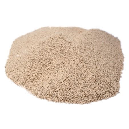 Active Dry Yeast | Bulkfoods.com