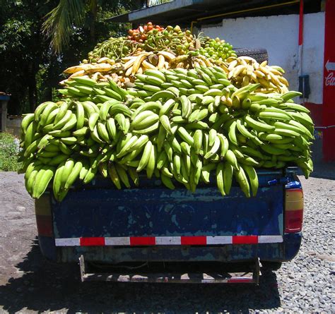 Banana Delivery Truck, Panama Free Stock Photo - Public Domain Pictures