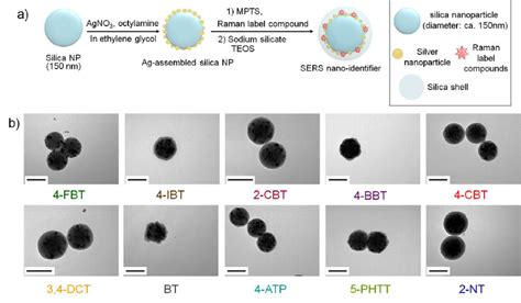 Figure S3 . a) Schematic diagram for synthesis of SERS nano-identifiers ...