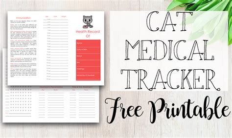 Free Printable Medical Record for Dogs - Tastefully Eclectic