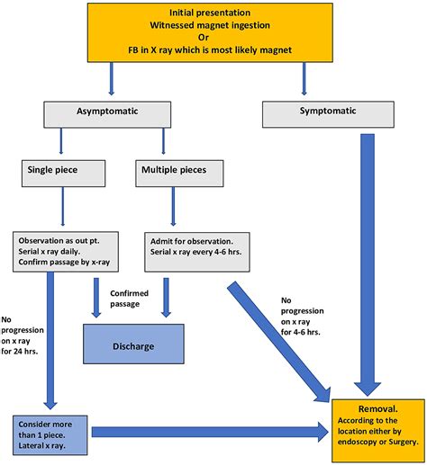 Frontiers | Magnet Ingestion in Children Management Guidelines and ...