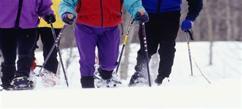 How to Find the Best Winter Activities in Wisconsin