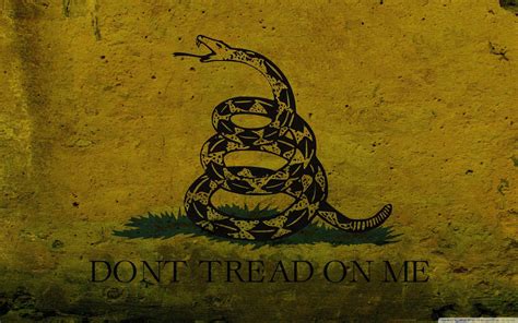 Don't Tread On Me Flag Wallpapers - Top Free Don't Tread On Me Flag Backgrounds - WallpaperAccess