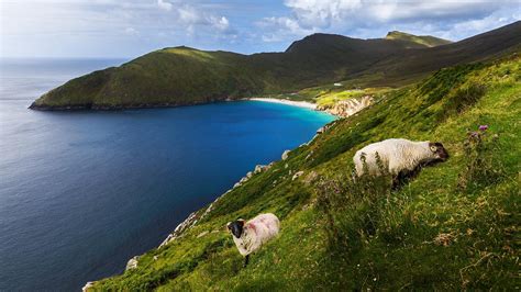 From Spectacular Coastline to Ancient Castles, Discover the Beauty of the Emerald Isle, Ireland