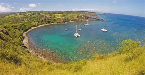 Honolua and Mokulei‘a: The Two Bays of the Kaanapali Snorkeling Tour — THE CAPTAIN'S LOG