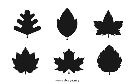 Autumn Leaves Silhouette Set In Black Vector Download