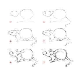 Rat sketch image Royalty Free Vector Image - VectorStock