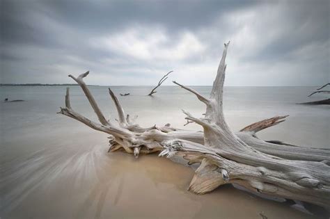 Boneyard Beach, Big Talbot Island FL Photo by Tom Schifanella ...