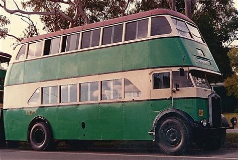 Sydney's Double-Decker Bus of the 50's & 60's