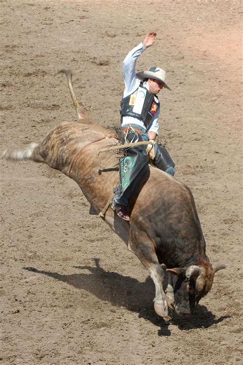 Bull riding - Wikipedia