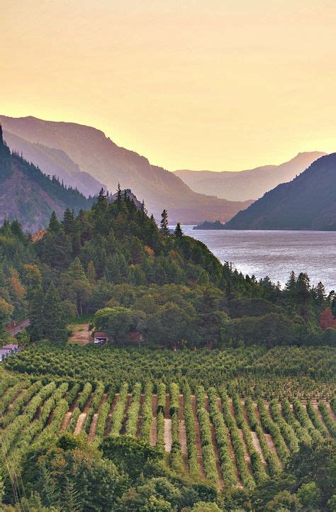 12 Best Wineries in the Columbia River Gorge images | Columbia river gorge, Columbia river, Wine ...