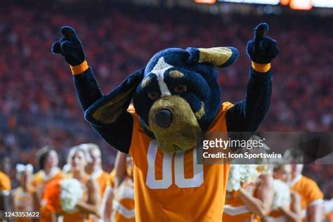 338 Smokey (Mascot) Stock Photos, High-Res Pictures, and Images - Getty ...