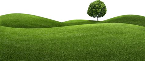 Clipart grass hill, Clipart grass hill Transparent FREE for download on WebStockReview 2023