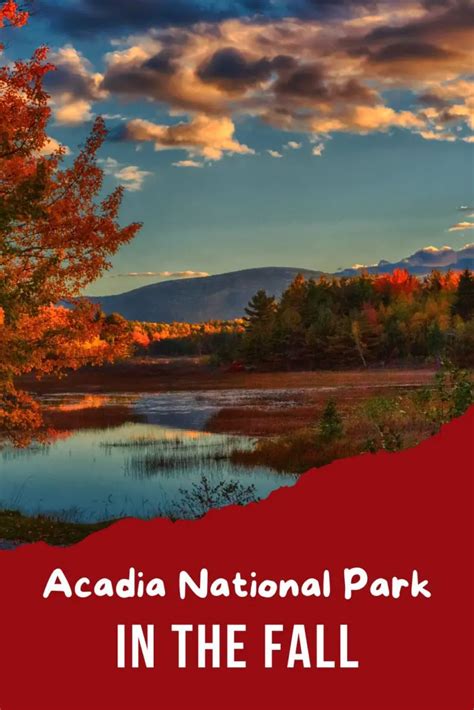 See the fall colors in acadia national park – Artofit