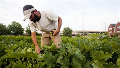 Urban farming is serious business - Birmingham Business Journal