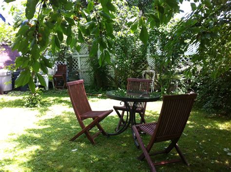 My cherry tree has cherries. Come by to pick them. | Outdoor furniture ...