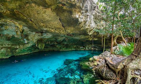 Conoce los 5 mejores Cenotes en Yucatán