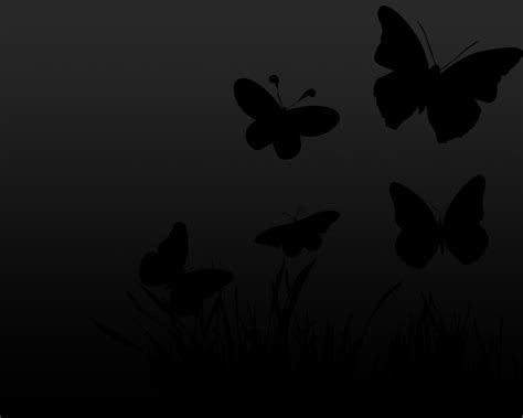 Black Butterfly Backgrounds - Wallpaper Cave