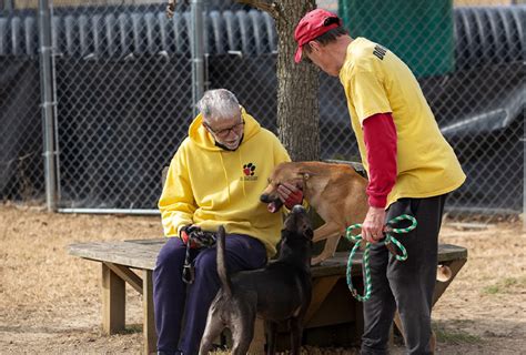 Volunteer Opportunities - The Humane Society of Memphis & Shelby County