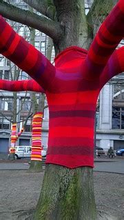 Trees with Sweaters | Trees with knit sweaters (leggings? tr… | Flickr