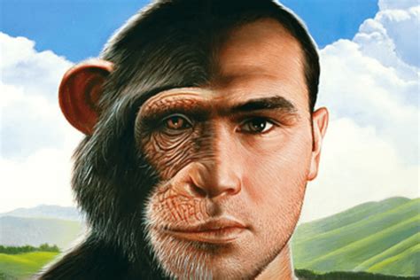 What differentiates humans from chimps: Differing DNA or different expression of similar genes ...