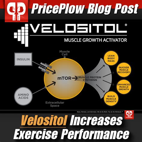 Velositol Increases Exercise Performance: New University Study ...