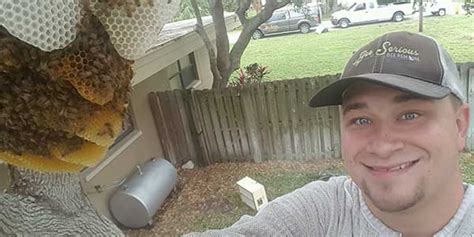 Bee Removal Services For Central Florida | Bee Serious Bee Removal