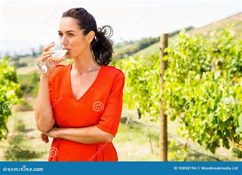 Young woman drinking wine stock photo. Image of casual - 95858194