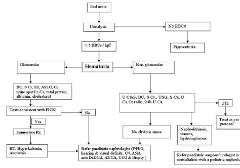 Workup For Gross Hematuria