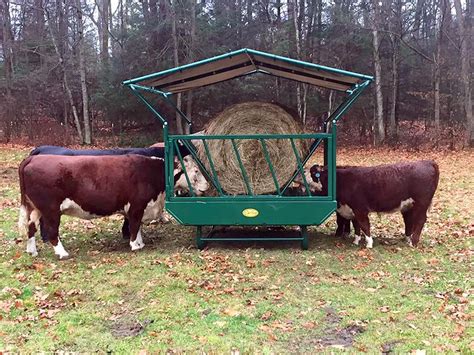 Cattle Hay Feeder on Skids | Cattle ranching, Cattle farming, Cattle feed