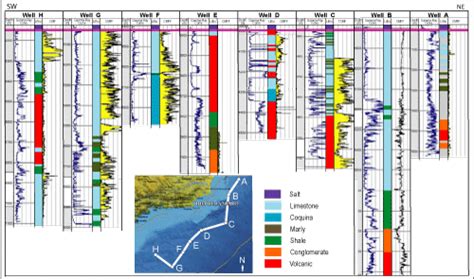 Issues in the identification of the Aptian/Albian boundary in South Atlantic basins and beyond