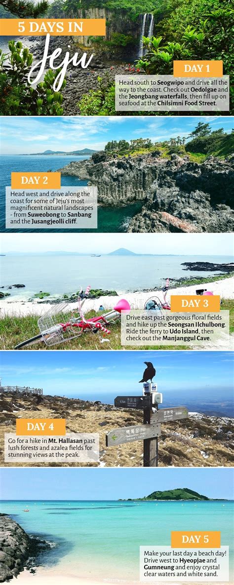 5 days in Jeju, South Korea – a road trip itinerary | Travel destinations asia, South korea ...