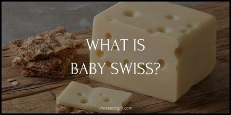 What is Baby Swiss? The Milder Legend from Wisconsin