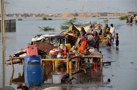 Pakistan 100 days after the devastating floods - Observer Diplomat