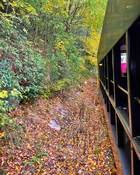 Western Maryland Scenic Railroad: Kid Friendly Guide - Sunshine Whispers