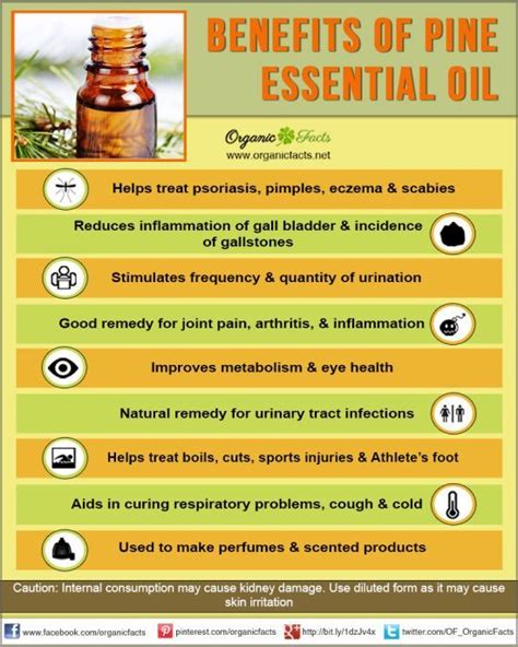 9 Amazing Benefits of Pine Essential Oil | Organic Facts | Pine ...