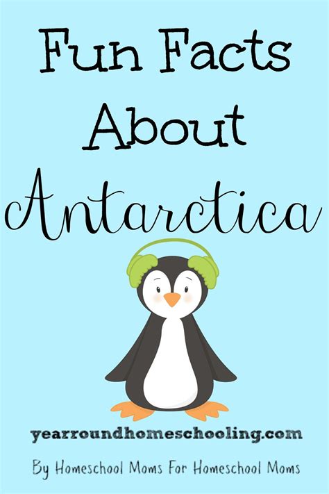 What Animals Live In Antarctica