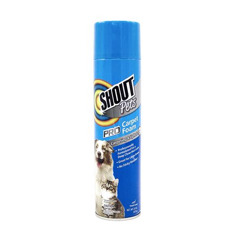 Best Carpet Cleaner For Pet Stains Australia - img-scalawag