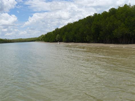 Understanding biodiversity in water resource assessments in northern Australia – ECOS