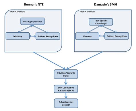 Figure 1 from Toward a Theory of Intuitive Decision–Making in Nursing ...