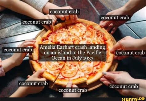 Coconut crab coconut crab coconut crab 'ab Amelia Earhart crash landing on an island in the ...