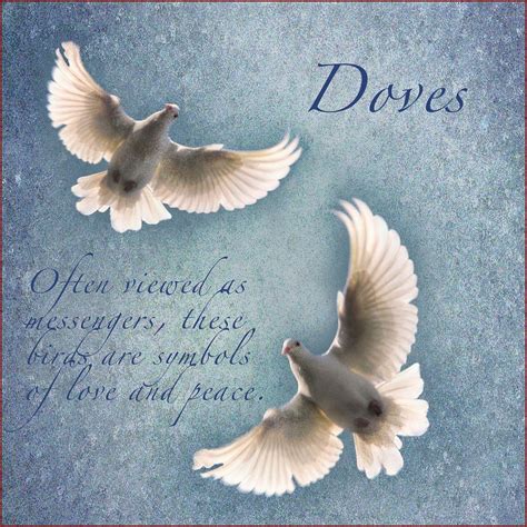 two white doves flying in the sky with words above them that say, doves