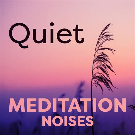 Quiet Meditation Noises - Album by Balanced Mindful Meditations | Spotify