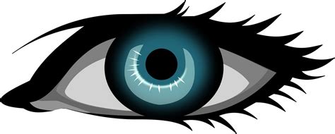 blue eyes - Clip Art Library