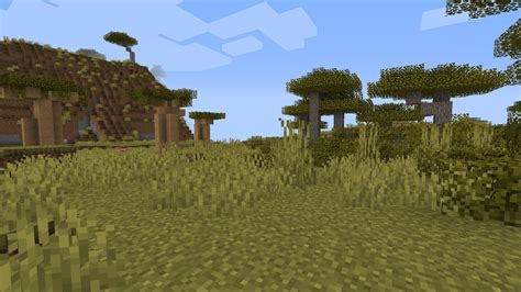 All Different Minecraft Biomes Listed (2023) - Prima Games