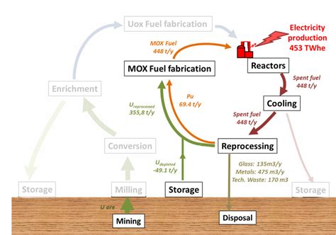 Nuclear fuel cycle for the 100% SFR case study and its representative ...