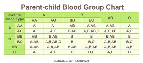 [最も共有された！ √] rh- blood type chart 626712-Blood type chart parents rh factor