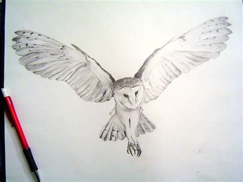 barn owl tattoos | Barn owl tattoo, Owl tattoo design, Owls drawing