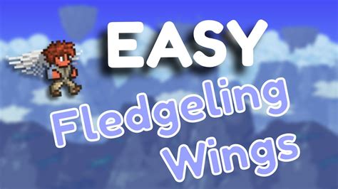 How to get Fledgling Wings in Terraria 1.4.4.9 - YouTube